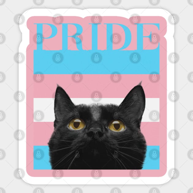 Vintage Black Cat Transgender Pride Sticker by mia_me